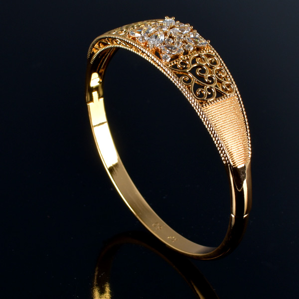 Aproce Gauri