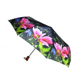 Umbrella Rain Umbrella Rain