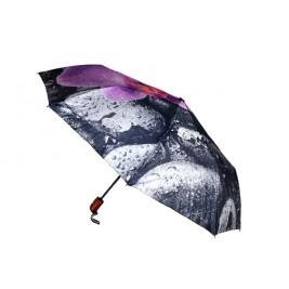 Umbrella Dez Umbrella Dez