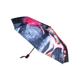 Umbrella Chuva Umbrella Chuva