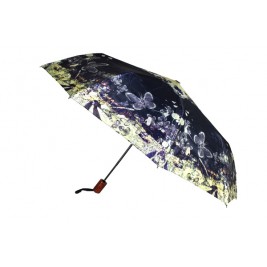 Umbrella Dazd Umbrella Dazd