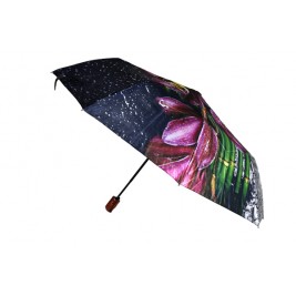 Umbrella Mua